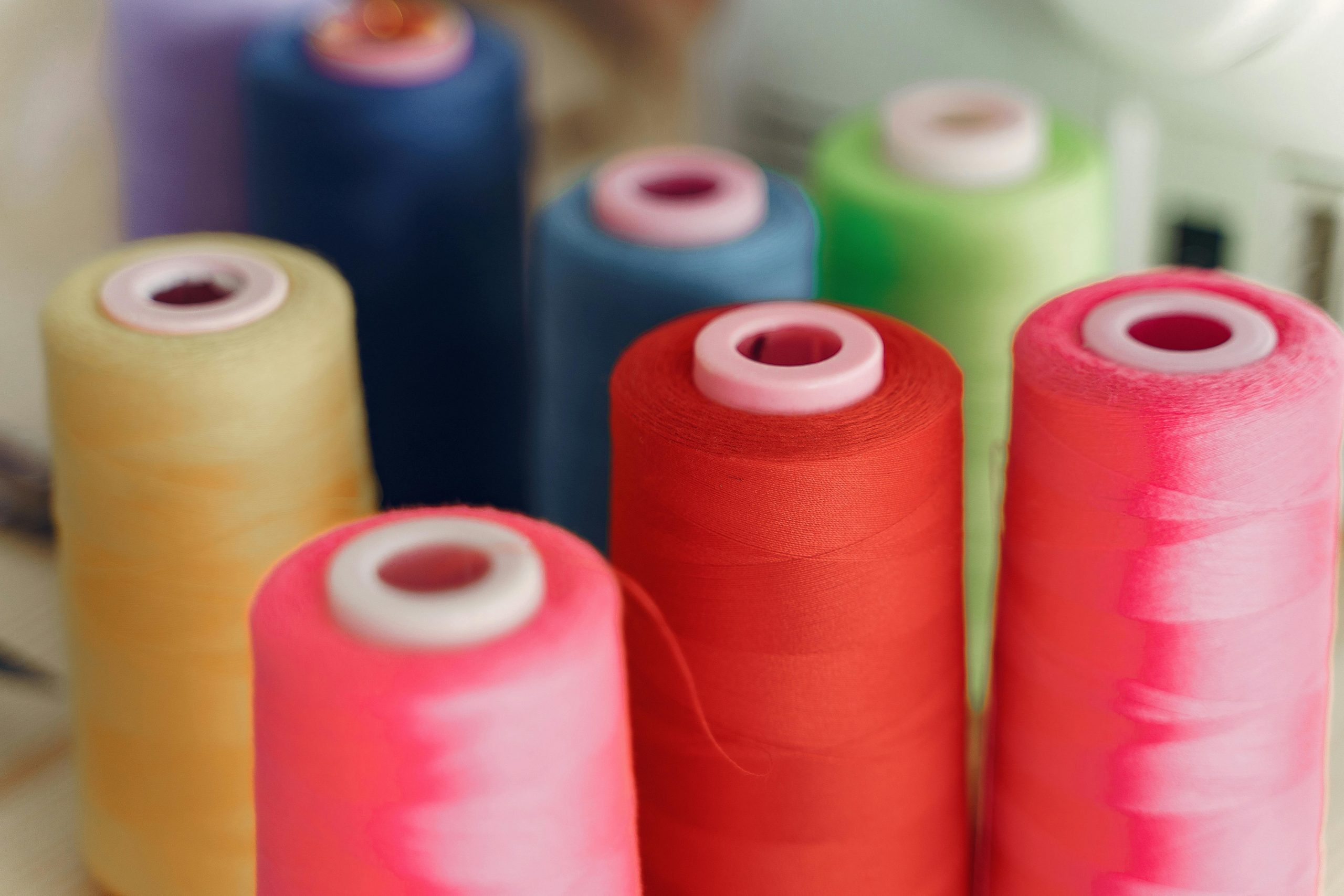 Apparel Industry Professional